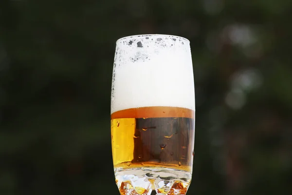 Golden Foamy Drink Transparent Glass Background Sea Beach Beer Foam — Stock Photo, Image