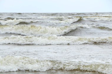 Fırtına sırasında köpüklü büyük dalga tepeleri. Tatilciler kumlu bir sahilde fırtınada yüzerler..