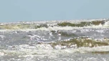 Fırtına sırasında köpüklü büyük dalga tepeleri.
