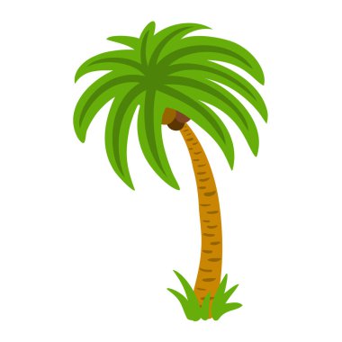 Beyaz arka planda izole edilmiş palmiye ağacı rengi silueti. Tarzlanmış tropik ağaç çizimi. Egzotik bir ahşabın vektör çizimi.