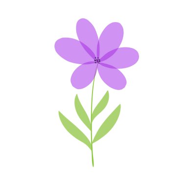 Güzel, narin bir çiçek. Beyaz arka planda leylak papatyası. Tatlı papatya tarlası. Vektör illüstrasyonu.