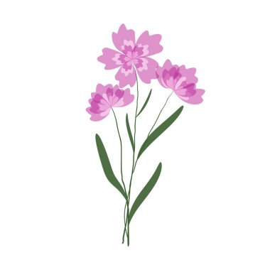 İnce narin çiçekler. Üç güzel kır çiçeği. Mor çiçekli bitkiler minimalist tarzda çizilmiş. Vektör illüstrasyonu.