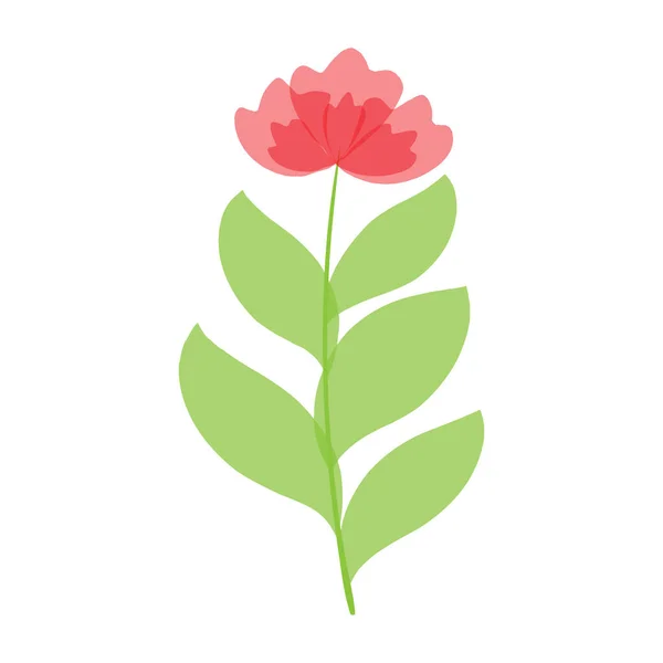 Schöne Rote Blume Auf Weißem Hintergrund Zarte Blühende Rosen Wildblume — Stockvektor