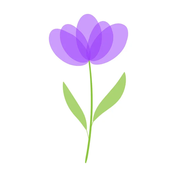 美丽的紫色花朵 精致的紫色郁金香画在简约的风格 野花在白色背景上被隔离 矢量说明 — 图库矢量图片