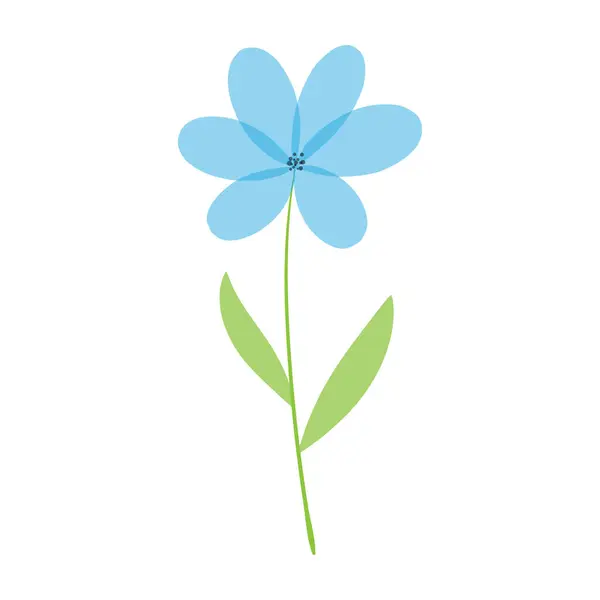 Schöne Zarte Blume Blaue Kamille Auf Weißem Hintergrund Nettes Feldgänseblümchen — Stockvektor