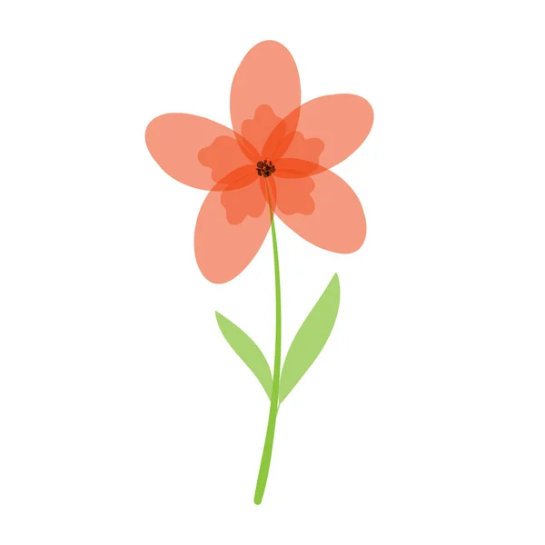 Zarte Schöne Blume Rote Kamille Auf Weißem Hintergrund Niedliche Wildblume — Stockvektor
