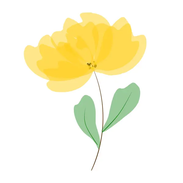 Schöne Große Gelbe Blume Zarte Dekorative Blume Isoliert Auf Weißem — Stockvektor