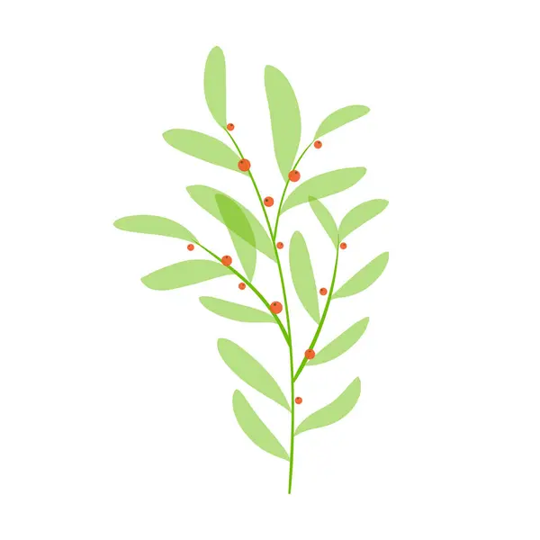 植物的绿色分枝 用红色浆果温柔地种植 田园植物以简约的风格绘画 矢量说明 — 图库矢量图片