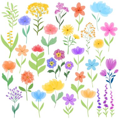 Elle çizilmiş çiçeklerin renkli vektör koleksiyonu. Büyük otlar, yabani çiçekler, çiçek açan bitkiler, çiçek açan çiçekler. Botanik temalı tasarımlar, davetiyeler, tebrik kartları ve dekoratif kullanımlar için.