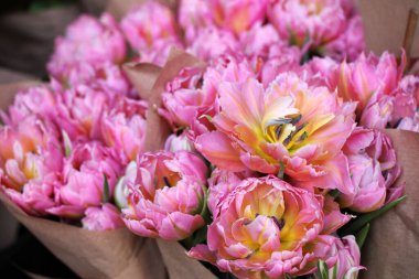 Çiçekçi dükkanında satılık kağıt paketinde çift pembe laleler..