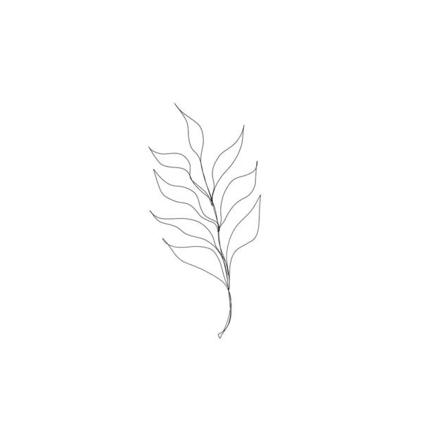 Minimalistic line drawing. leaf line art. Botanical drawing illustration by hand. beautiful idea for a postcard, a postcard. for home decor such as posters, wall art. Botanical Contour Drawing