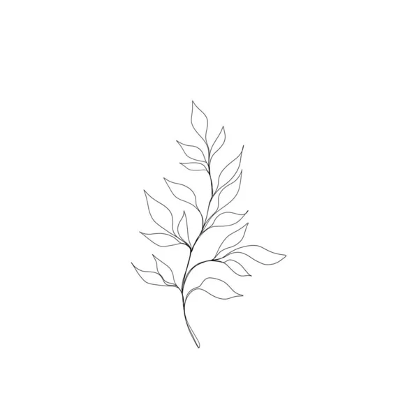 Minimalistic Line Drawing Leaf Line Art Botanical Drawing Illustration Hand — Foto Stock