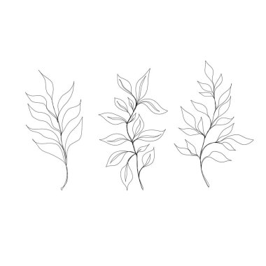 Asgari çizgi çizimi. Yaprak çizgisi sanatı. Elle çizilmiş botanik çizimi. Kartpostal için güzel bir fikir, bir kartpostal. Posterler, duvar sanatı gibi ev dekorları için. Botanik Katılım Çizimi