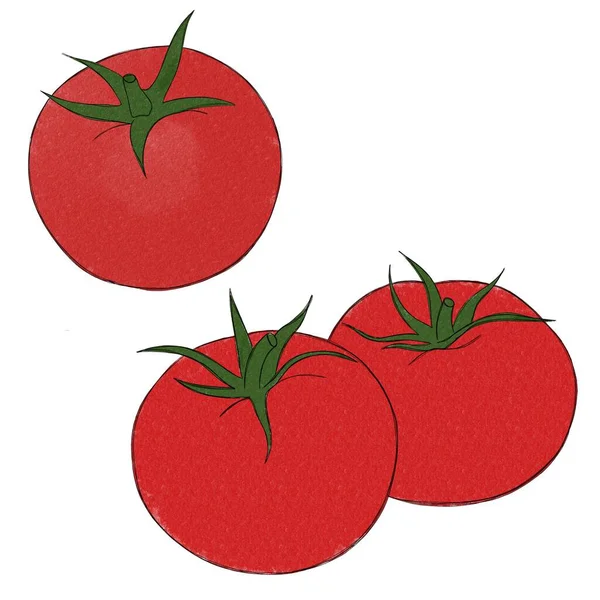 Tres Tomates Grandes Jugosos Acuarela Ilustración Mano Alzada Verdura — Foto de Stock