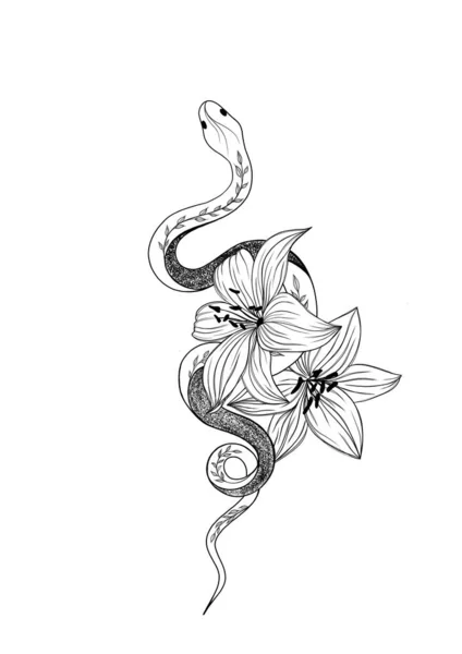 Tattoo snake with lilies Isolated illustration. Traditional Tattoo Old School Tattooing Style Ink. Snake silhouette illustration.