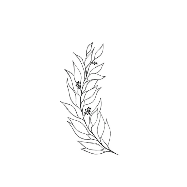 Minimalistisk Linjeritning Lövlinjekonst Botanisk Teckning Illustration För Hand Vacker Idé — Stockfoto