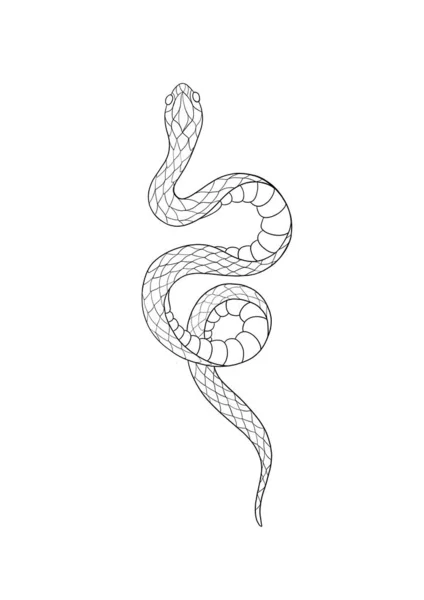 Serpente Tatuato Inchiostro Tradizionale Stile Puntino Nero Illustrazione Isolata Tatuaggio — Foto Stock