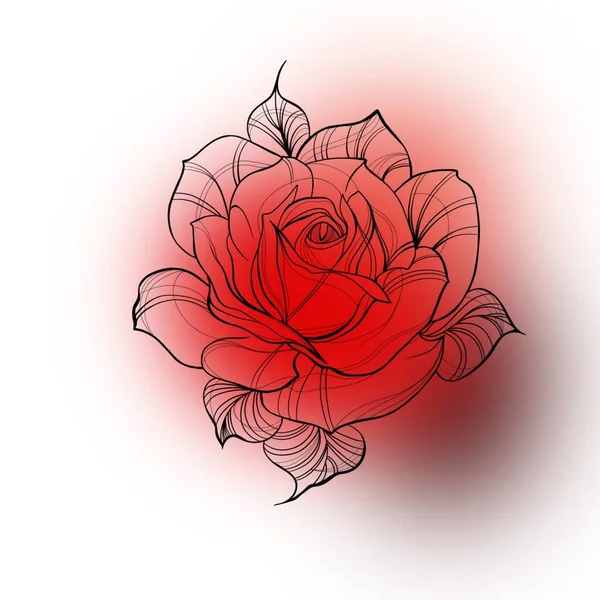 Детальный Набросок Розового Цветка Красном Фоне Размытия Эскиз Розовой Татуировкой — стоковое фото