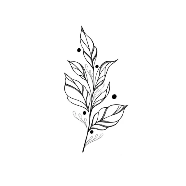 美しい手黒のアウトライン花ロープハーブイラスト白の背景に隔離された グラフィックデザイン 結婚式の装飾 お土産ギフト 文房具の印刷のための植物要素テンプレート — ストック写真