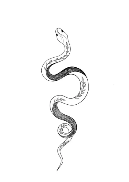 纹身蛇 传统黑点型油墨 孤立的例证 传统的鞑靼老派鞑靼风格墨水 蛇形轮廓图解 — 图库照片