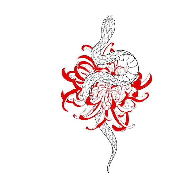 Wąż Czerwony Chryzantema Kwiat Szczegółowy Szkic Tatuaż Tradycyjny Tatuaż Old — Zdjęcie stockowe