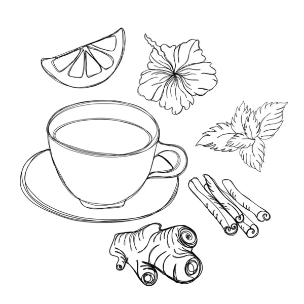 茶叶收集 一杯茶与姜 薄荷叶 肉桂和芙蓉 线条艺术 — 图库照片