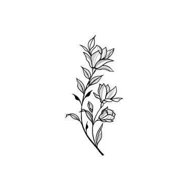 Çiçekler Periwinkle. El çizimi. Özet geç. Beyaz bir arka planda. Çok güzel bir dövme çizimi. Çiçekli ince bir dal. botanik tasarım ögesi