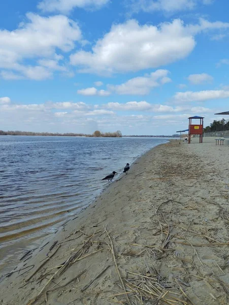stock image 19.03.2023 Kremenchuk city, Ukraine : City embankment and beach of the Dnieper river