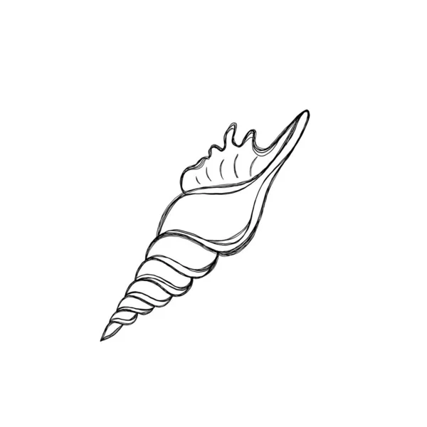 Line Art Illustration Seashell Shell Tattoo Idea Hand Drawn Nautical — Stok fotoğraf