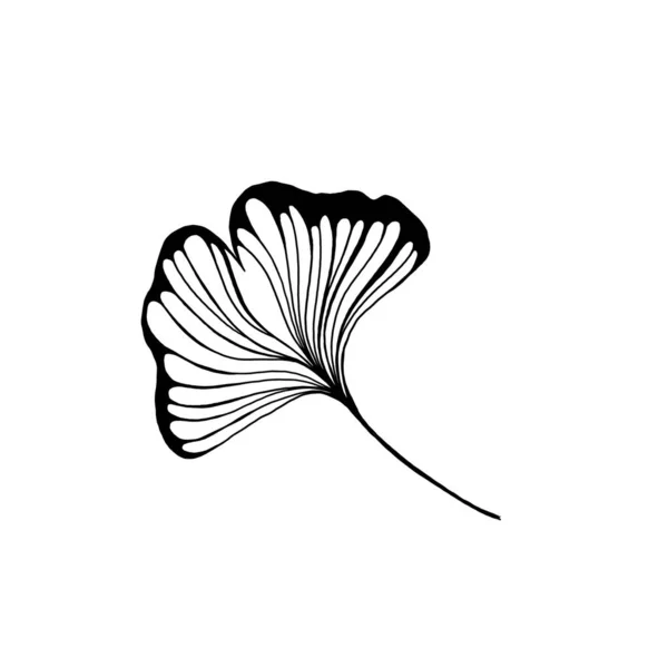Cartoon flat ginkgo biloba leaf isolated on white. Nature eco icon.Leaflet organic icon. Cosmetics and medical plant icon