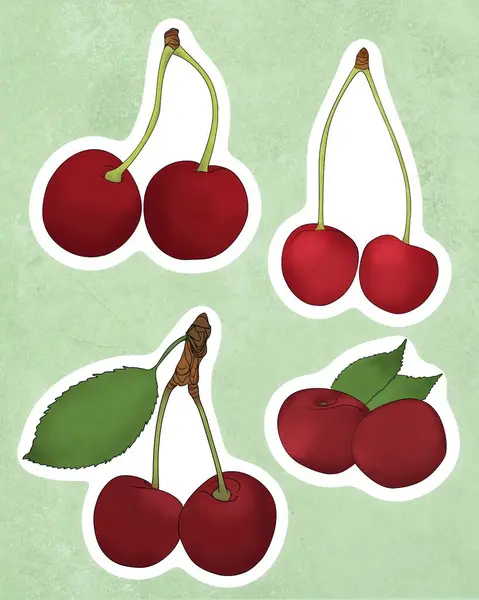 Delicious fresh ripe cherries fruit flat illustration design. Printable cherry sticker. Healthy vegetarian food. Sticker in cartoon style with contour.