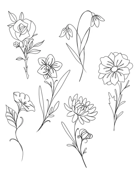 line art drawing of flowers. Editable line. minimalism sketch, idea for invitation, design of instagram stories and highlights icons. set line art set of flower rose