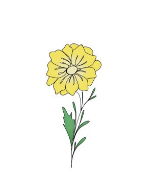 Çiçeklerin çizimi, minimalizm eskizi, davetiye fikri, Instagram hikayelerinin tasarımı ve simgeler