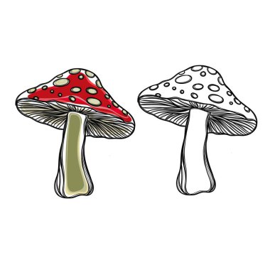 Serbest çizim mantar çıkartmaları. Sinek mantarı çıkartması, tişörtteki parmak izi kalıbı