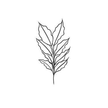 Asgari çizgi çizimi. Yaprak çizgisi sanatı. Elle çizilmiş botanik çizimi. Kartpostal için güzel bir fikir, bir kartpostal. Posterler, duvar sanatı gibi ev dekorları için. Botanik Katılım Çizimi