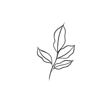 Asgari çizgi çizimi. Yaprak çizgisi sanatı. Elle çizilmiş botanik çizimi. Kartpostal için güzel bir fikir, bir kartpostal. Posterler, duvar sanatı gibi ev dekorları için. Botanik Katılım Çizimi