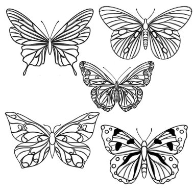 Çizgi sanatı kelebeği, tişörtler, not defterleri, kapaklar için çizimler
