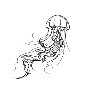 Arka planda izole edilmiş denizanası çizimi. El çizimi çizimi. Parmak izi için elitbalığı şablonunun ayrıntılı çizimi.