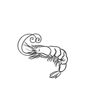 Karides skeci. El çizimi Karides ana hatları çizimi. Siyah beyaz karides çizimi. Karides çizimi. 