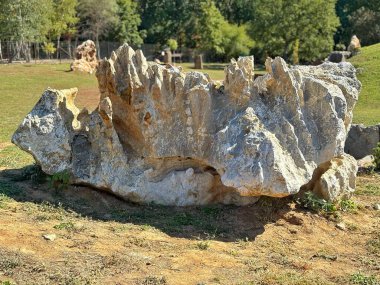 Büyük kaya oluşumları ve Ukrayna 'nın Harkiv kentindeki manzaralı doğal taş parkı..
