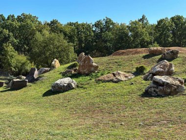 Dekoratif ağaç ve taş oluşumları olan kayalık bir bahçe manzaralı bir yer, Ukrayna 'da açık hava parkı..