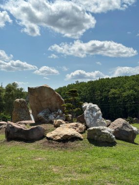 Dekoratif ağaç ve taş oluşumları olan kayalık bir bahçe manzaralı bir yer, Ukrayna 'da açık hava parkı..