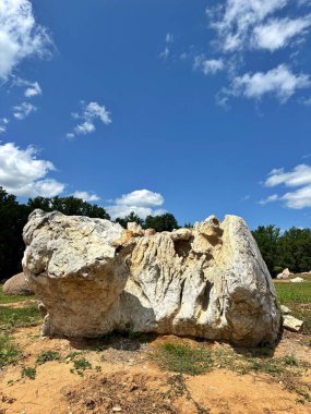 Dekoratif ağaç ve taş oluşumları olan kayalık bir bahçe manzaralı bir yer, Ukrayna 'da açık hava parkı.