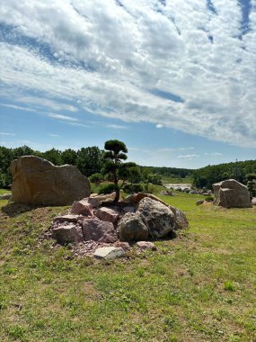 Kaya taşı parkı büyük kayalar ve süs ağacı açık mavi gökyüzüne karşı, Harkiv, Ukrayna