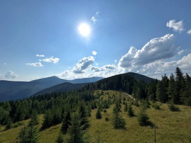 Yeşil ormanı ve mavi yaz gökyüzü olan dağ manzarası. Çam ağaçları ve bulutlarla kaplı tepelerin manzarası