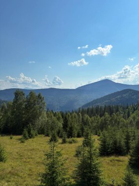 Yeşil ormanı ve mavi yaz gökyüzü olan dağ manzarası. Çam ağaçları ve bulutlarla kaplı tepelerin manzarası