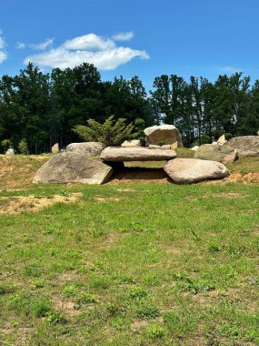 Dekoratif ağaç ve taş oluşumları olan kayalık bir bahçe manzaralı bir yer, Ukrayna 'da açık hava parkı..