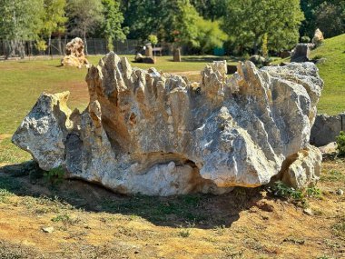 Eşsiz jeolojik oluşumlar ve Ukrayna 'nın Kharkiv kenti yakınlarındaki bir parkta doğal taş manzarası..