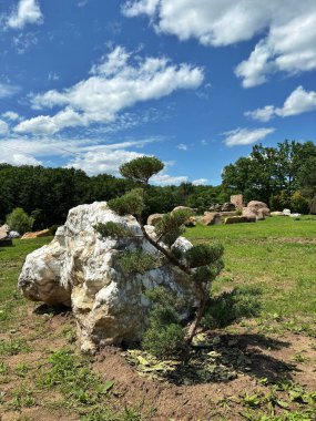 Sıra dışı kaya oluşumları ve süs ağacıyla sahne taşı parkı, Ukrayna 'nın Harkiv kenti yakınlarında doğal bir cazibe merkezi.