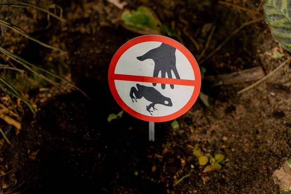 Çki Yasağı Işareti Kurbağalara Dokunmayı Yasaklayan Yasaklayıcı Bir Işaret — Stok fotoğraf